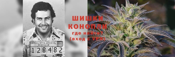 гашик Нея
