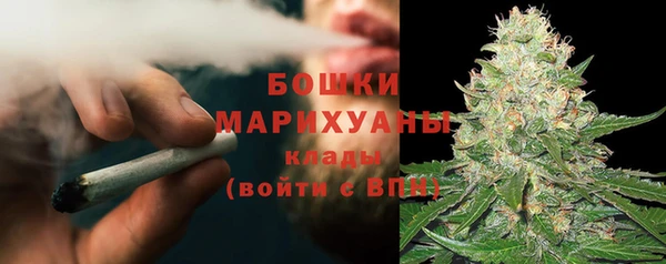 гашик Нея