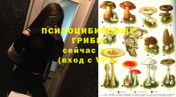 гидра Нефтекумск