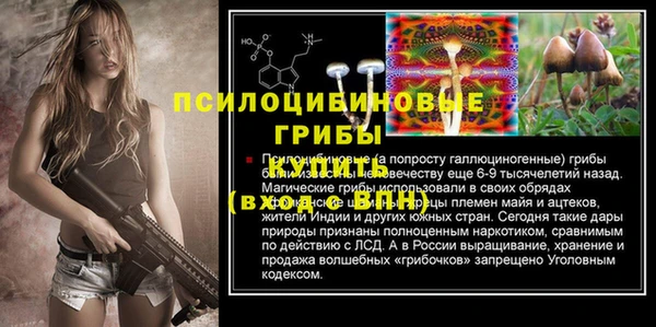 гашик Нея